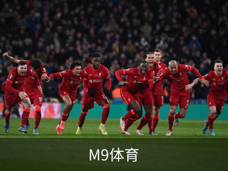 M9体育简介